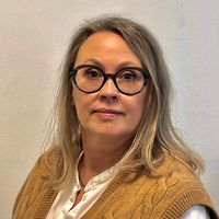 Anne Eriksson, Business Analyst