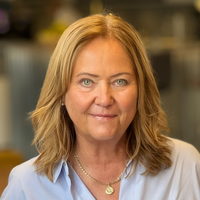 Gunilla Lindestreng, Affärsansvarig